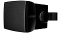 AUDAC WX302O/B